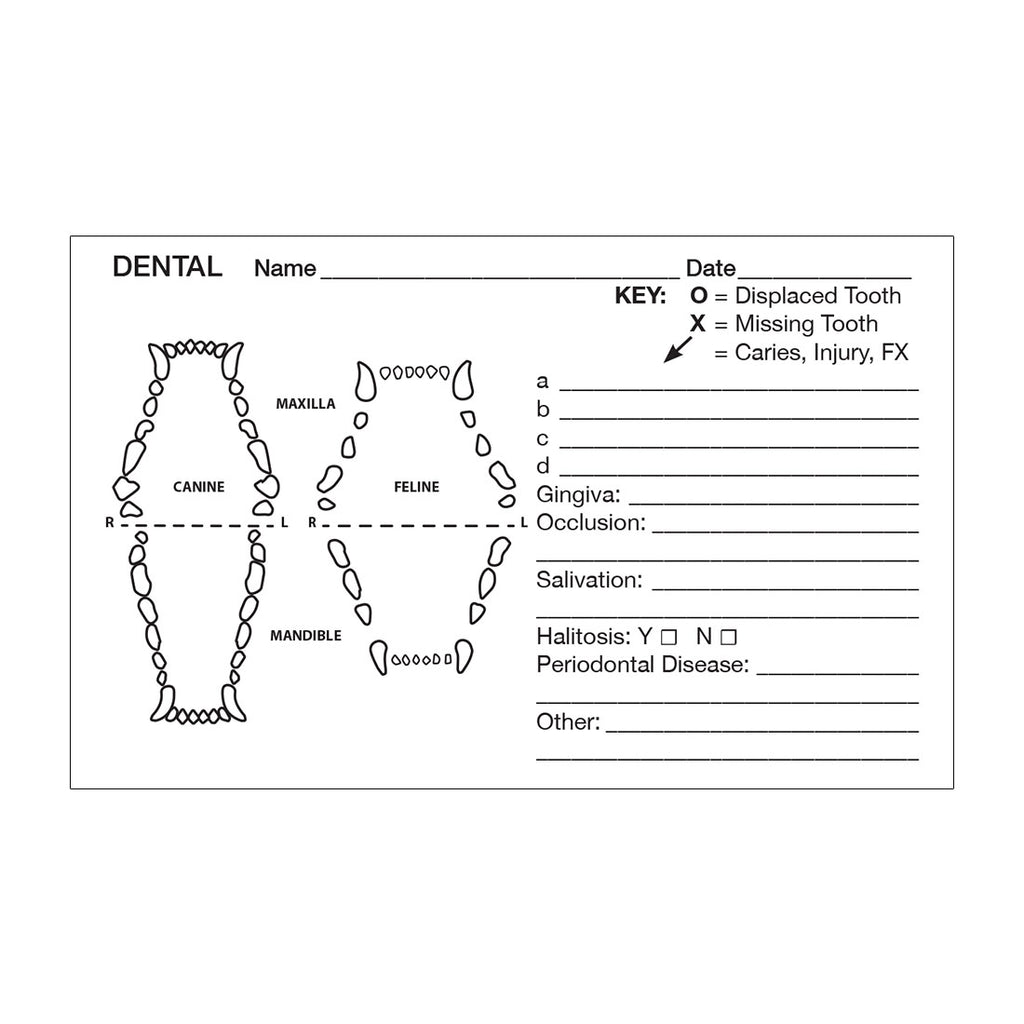 Medical Record Stickers - Dental (Pack of 200)