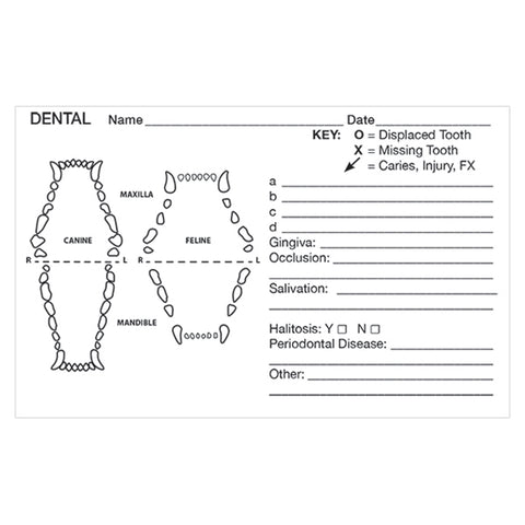 Medical Record Stickers - Dental (Pack of 200)