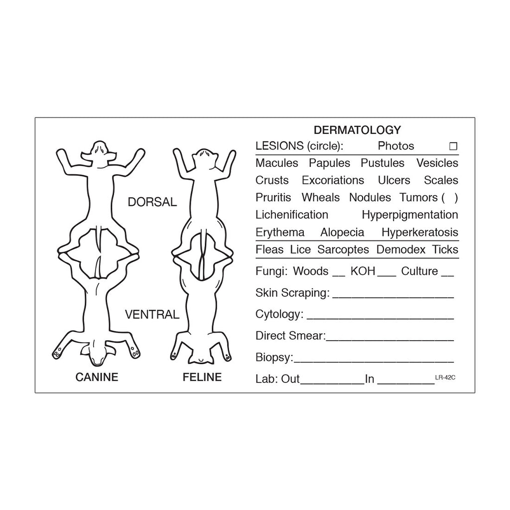 Medical Record Stickers - Dermatology (Pack of 200)