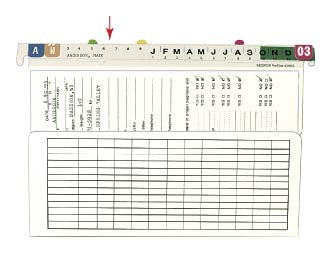ProFiles™ Name Label Inserts for 12" ProFiles™ Pouch